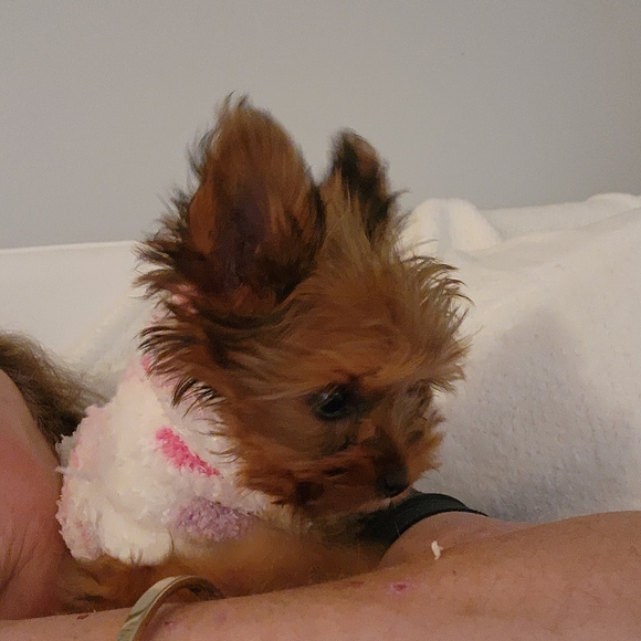 Priceless Package - Picture 4 of 12